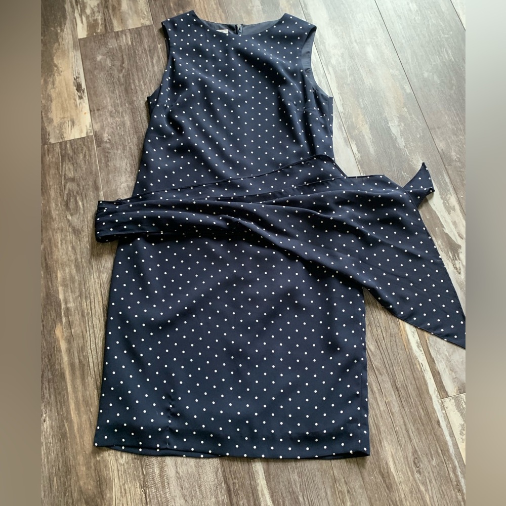 Polkadot Dress